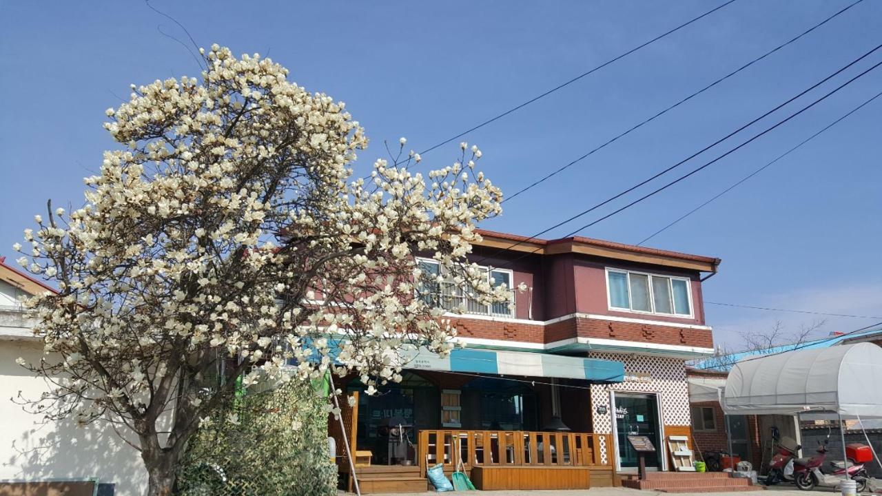The Guesthouse Dmz Stay Paju Eksteriør bilde